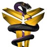 Harly Schenk's profile picture