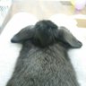 jonnyv profil fotoğrafı