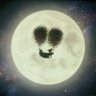 琥珀☆彡's profile picture