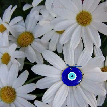 Serap_m's profile picture