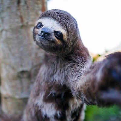 vlucendo's profile picture