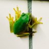 みなちん 的头像