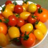 miniーtomato🍅 的头像