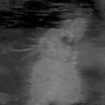 explorabbit's profile picture