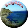 Delphina profil fotoğrafı