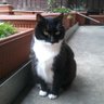 💜🐈‍ Barbara 🇵🇸🖤💛💔 💉💉💉💉💉💉💉💉😷🌻🦝's profile picture