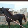 تيم's profile picture