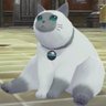 Profilbild von カッツ