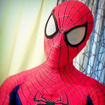 RitsuSpidey's profile picture