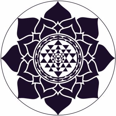 Lotus Nutrients's profile picture