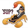 TomCapss's profile picture