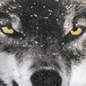 EL GRANDE's profile picture
