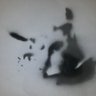 Фото профиля Chris Bennett