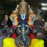 Mukund Gajjar🇮🇳's profile picture