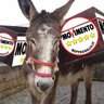 Profilbild von BASE#1075