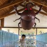 みっちゃんハルちゃん profil fotoğrafı
