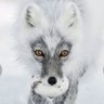 Profilbild von Toni MT