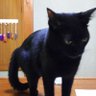 りょうすけ profil fotoğrafı