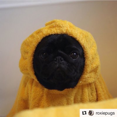 1000b's profile picture
