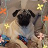 casper's profile picture