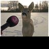 Boge's profile picture