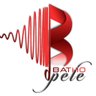 Batho Pele Publisher's PTY Ltd's profile picture