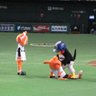 球道⚾️'s profile picture