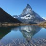 Swiss Mister's profile picture