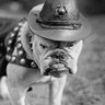 Profilbild von RetSNCO