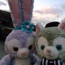 まい's profile picture