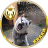 Profilbild von 泰
