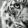 Фото профиля Shailendra Tiwari