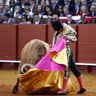 Fberrocaruiz's profile picture