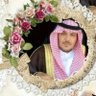 محمد الراجي's profile picture