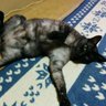 ぺーちゃん's profile picture