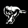 datenwolf – here to witness Τwitter's death profil fotoğrafı