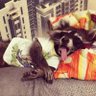 Profilbild von Porfirio