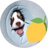Profilbild von 栃木県産のれもん🍋