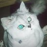 Profilbild von みう