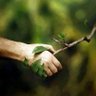 Joanna Świderska profil fotoğrafı