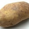 Taiton's profile picture