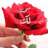 abdo 的头像