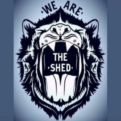 WE ARE THE SHED ⭐⭐'s profile picture
