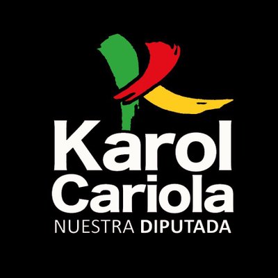 Prensa Karol Cariola's profile picture