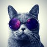 Profilbild von gachi
