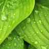 Green💎 的头像