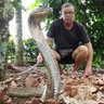 Rex Sumner's profile picture