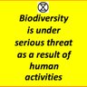 Biodiversityloss's profile picture