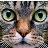 S profil fotoğrafı
