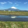 まみちゃん profil fotoğrafı